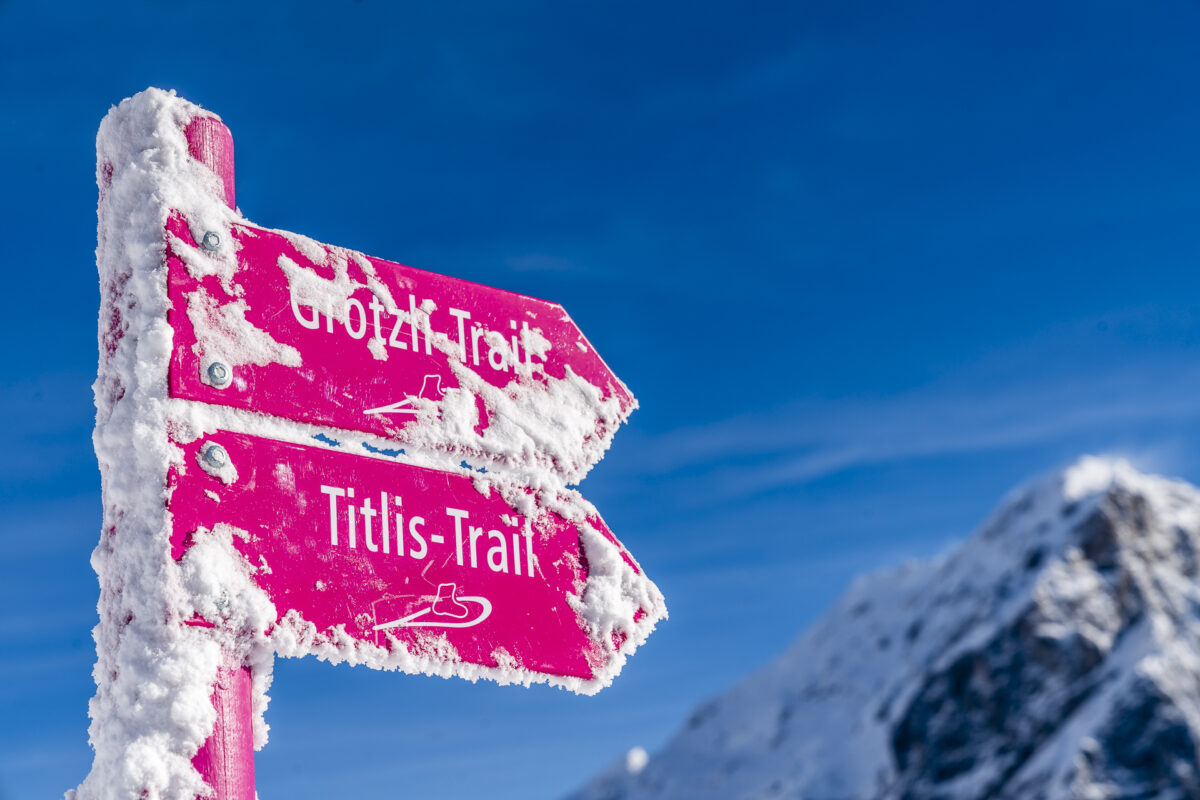 Grotzli Trail und Titlis Trail