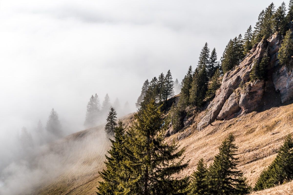 Nebelmeer Glarnerland