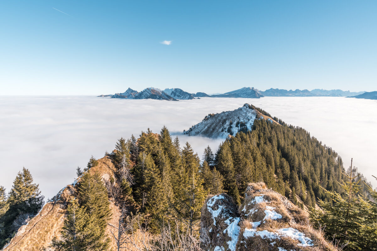 Panorama vom Planggenstock