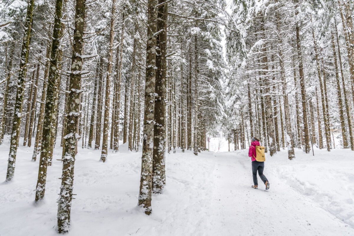 Winterwald Engelberg