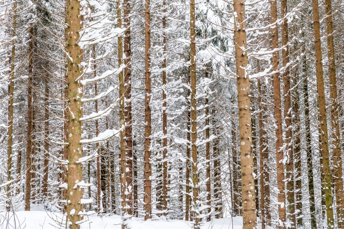 Winter in Engelberg