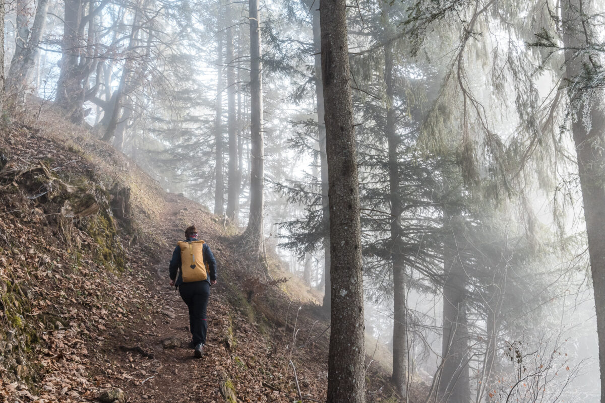 Hirzli Skulpturenweg