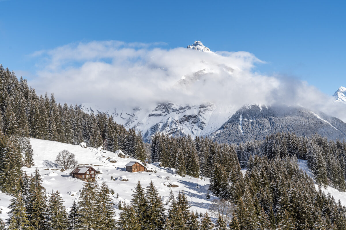 Arni Intschi Uri Landschaft