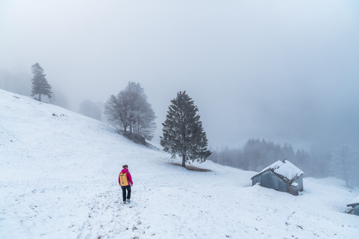 Hirzli Rundweg Winter