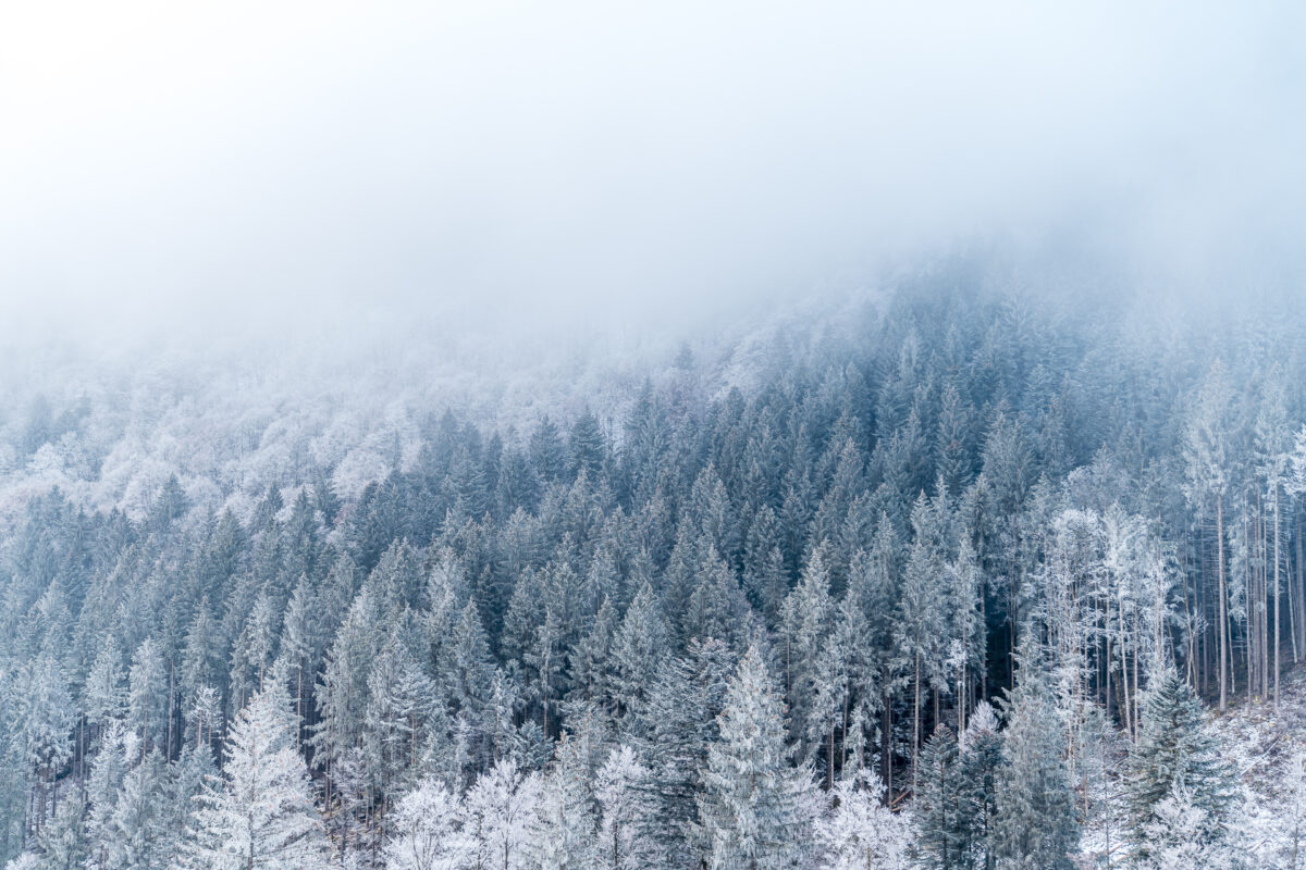 Frost im Glarnerland