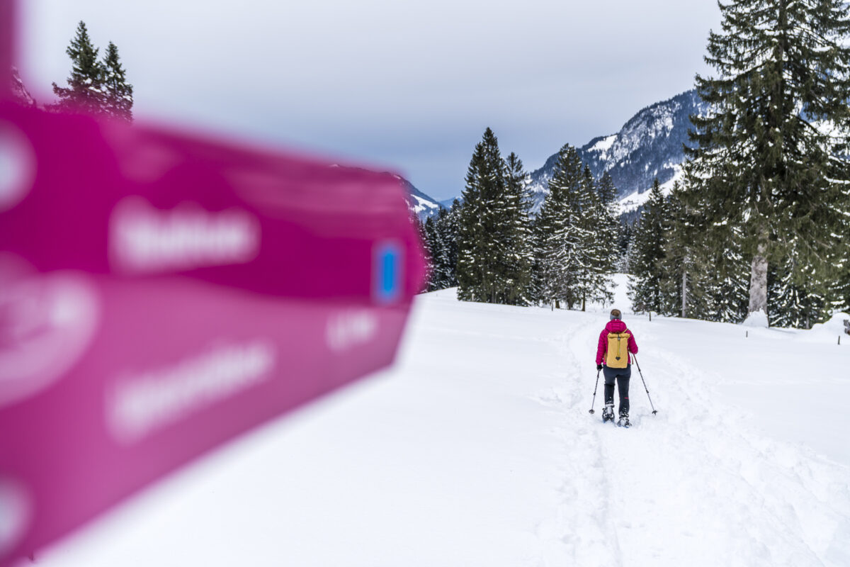 Schneeschuhwandern auf der Gerschnialp