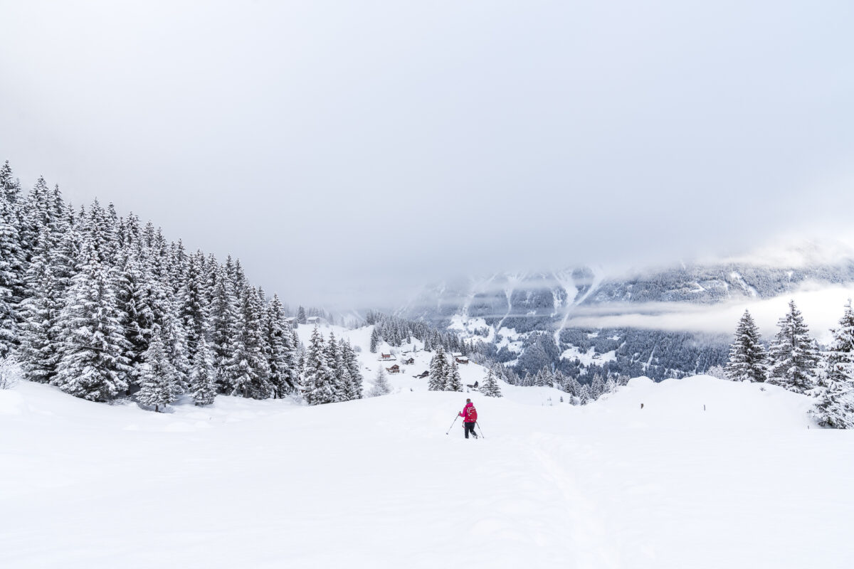 Arnisee Trail