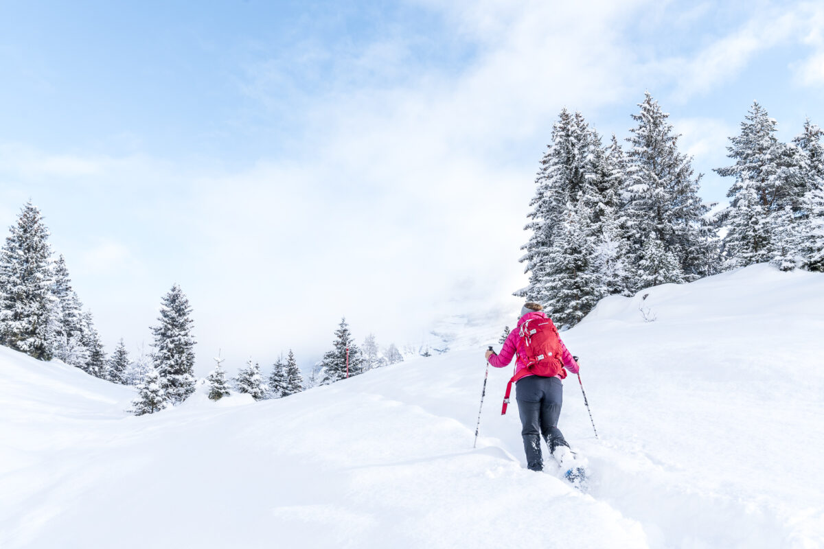 Schneeschuhwanderung Arni