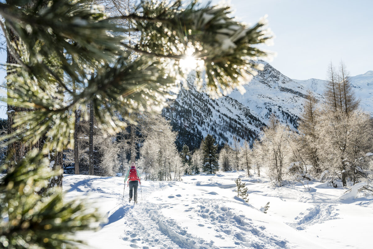 Winterwandern im Engadin