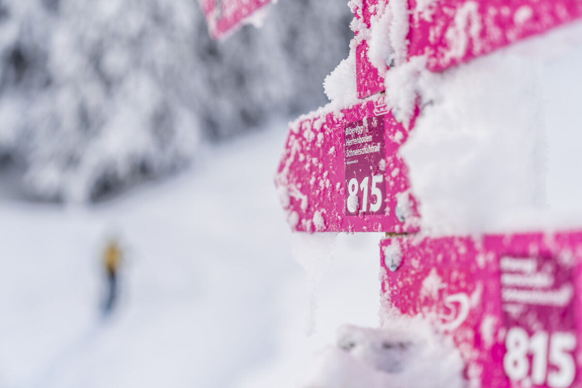 Schneeschuhtrails bei Sattel-Hochstuckli