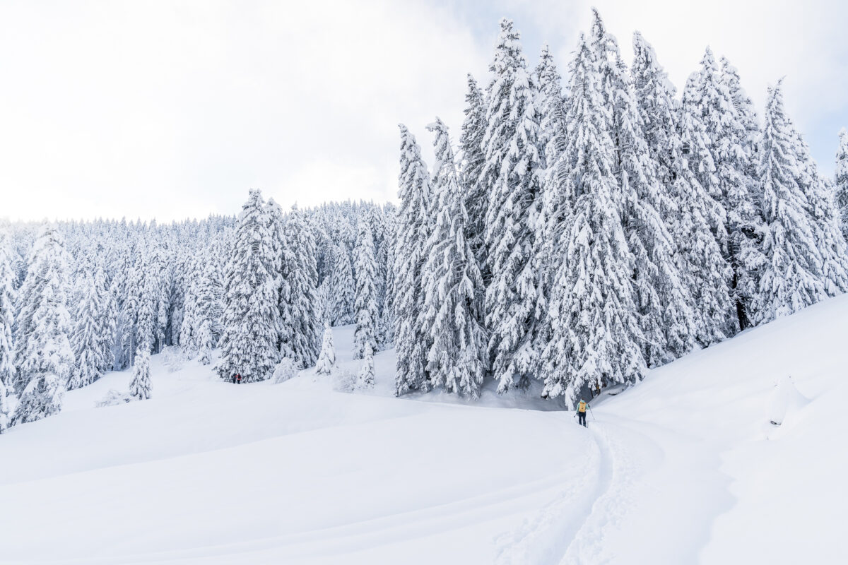 Schneeschuhtrail Biberegg Banegg