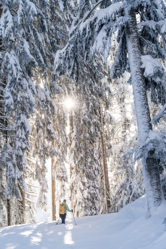 Biberegg Schneeschuhtrail