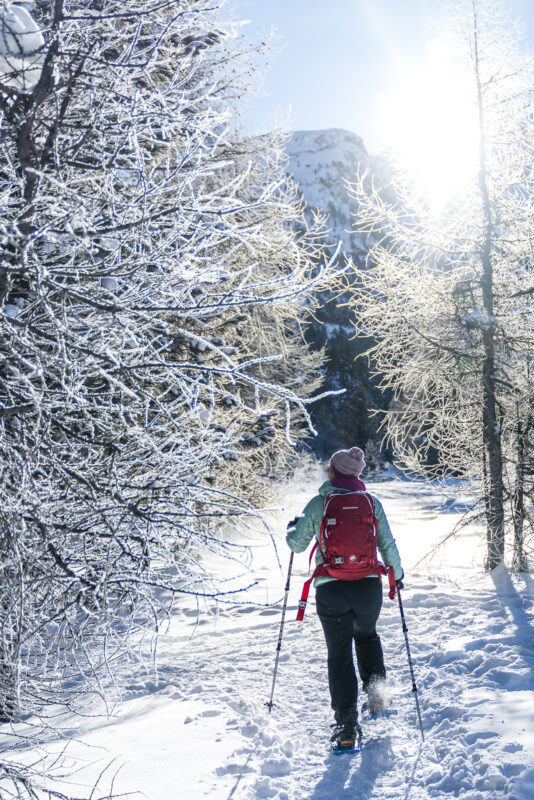 Schneeschuhlaufen Morteratsch