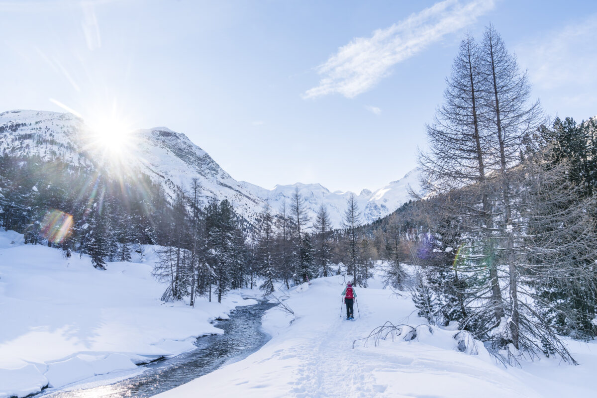 Schneeschuhtrail Morteratsch