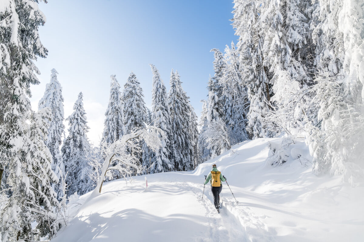 Schneeschuhwandern Biberegg Rothenturm