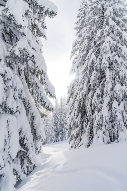 Tykkylumi in der Schweiz