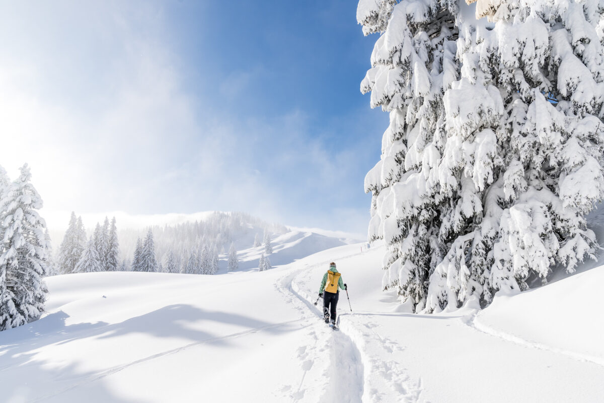 Biberegg Schneeschuhwanderung