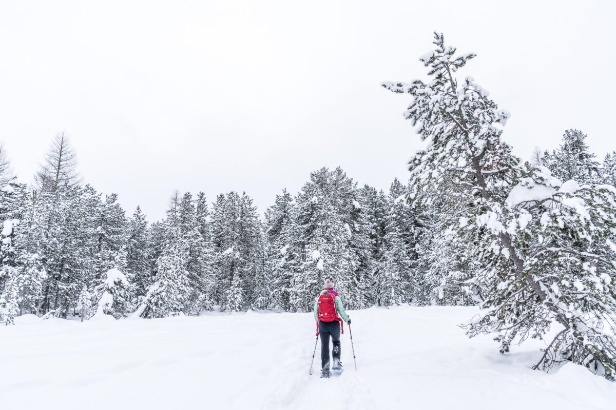 Schneeschuhtrail Stazerwald