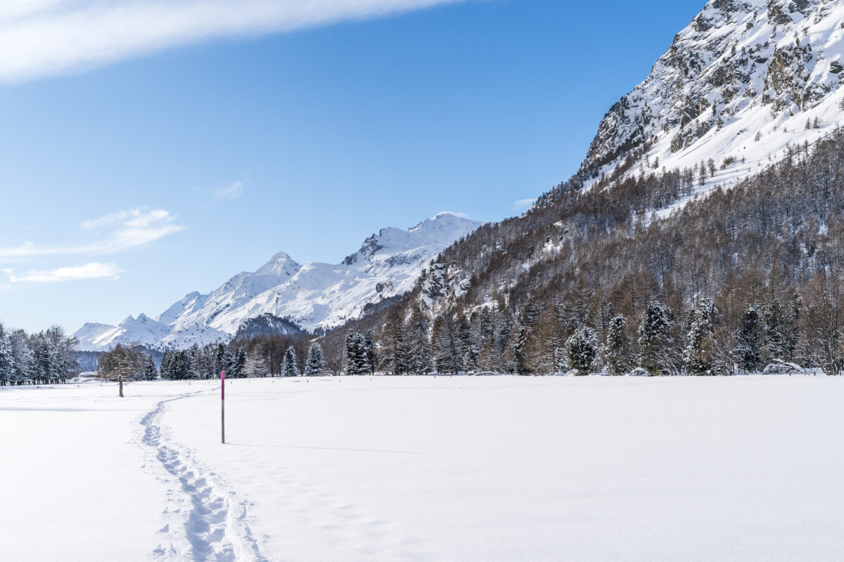 Engadin Sils Maria Schneeschuhwandern