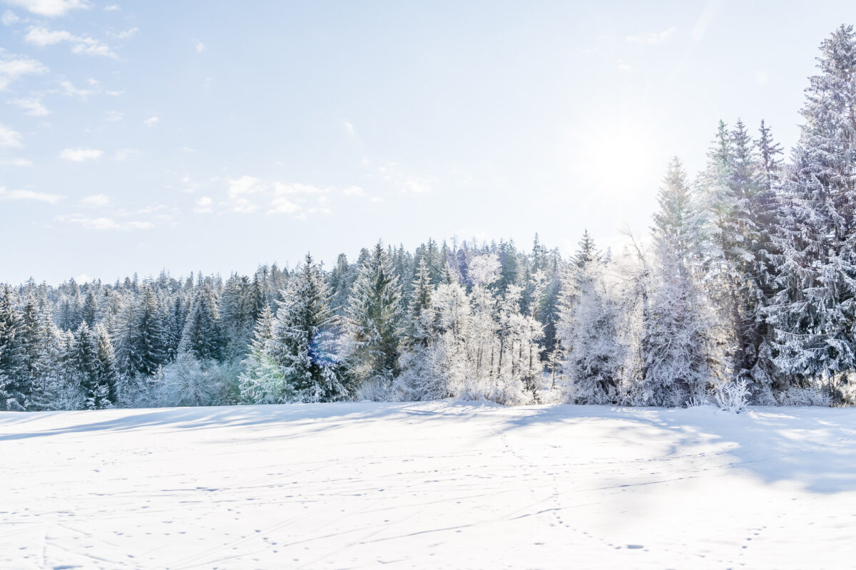 Winterlandschaft Trin Mulin