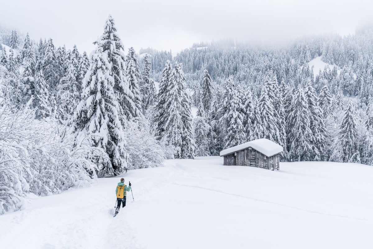 Schneeschuhwandern Herrenboden