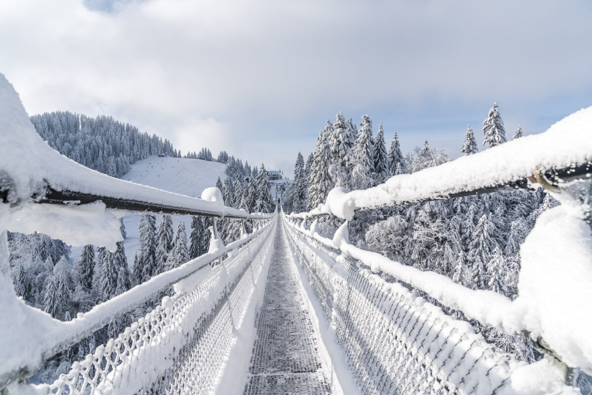 Skywalk Sattel-Hochstuckli Winter