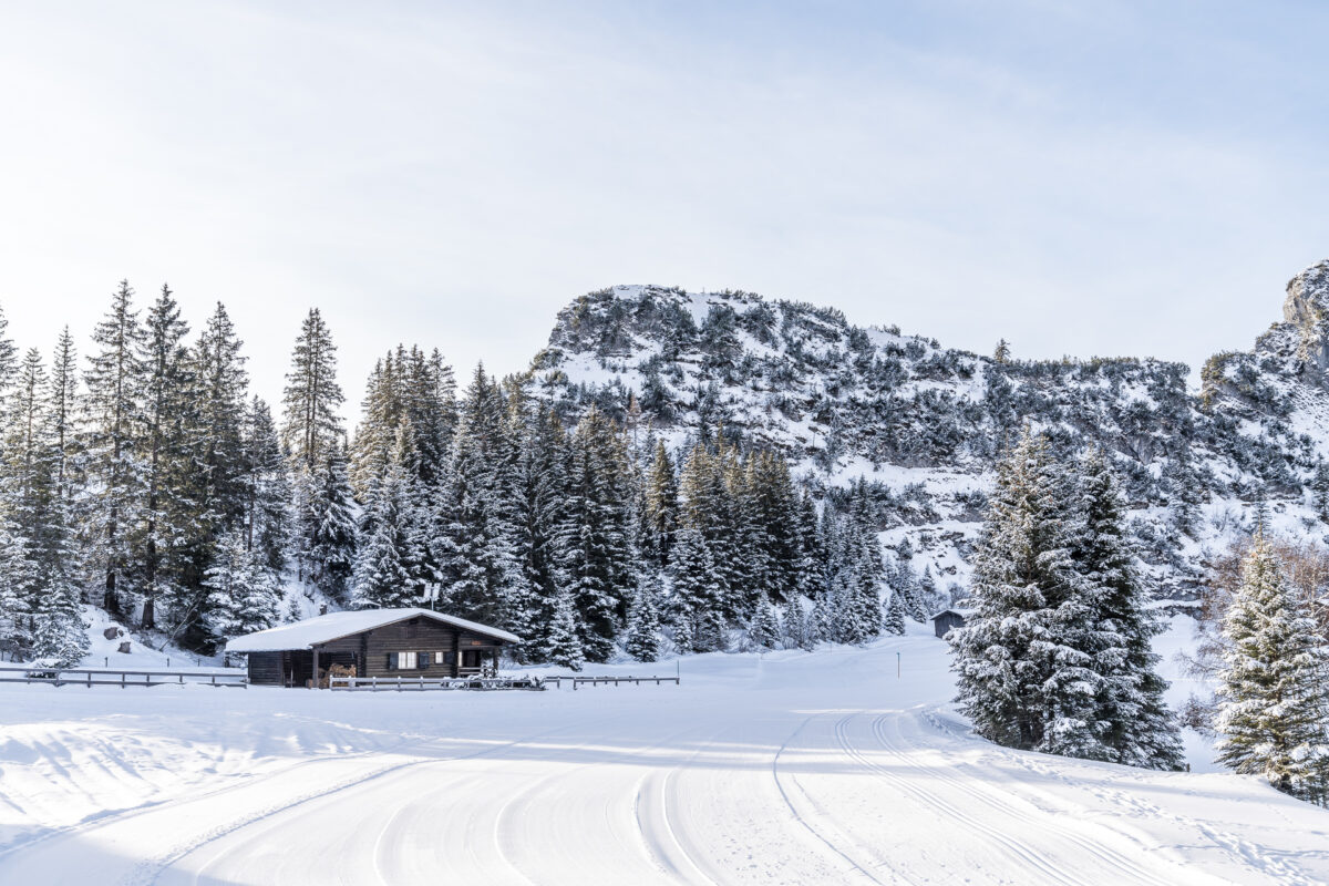 Winterwanderung Bargis