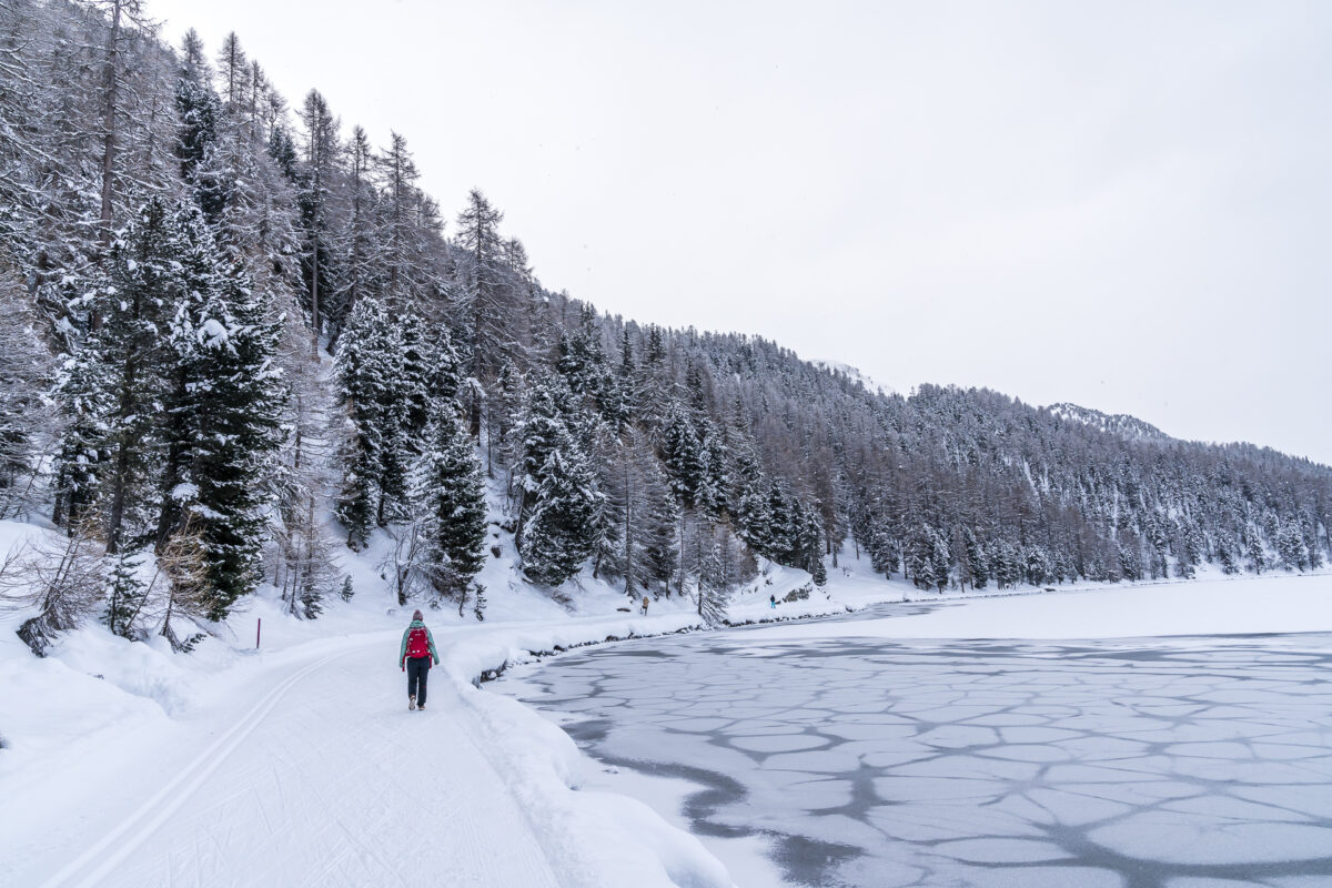 Surlej - Sils Maria Winterwanderweg