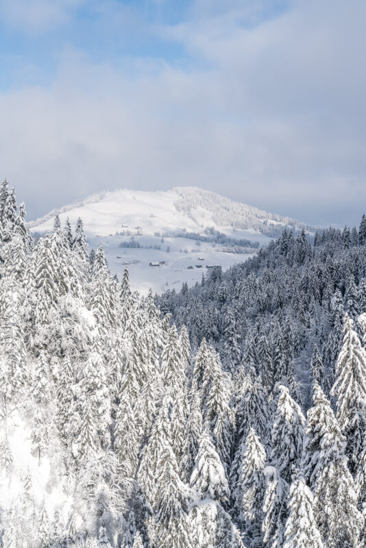 Winterlicher Skywalk Aussicht