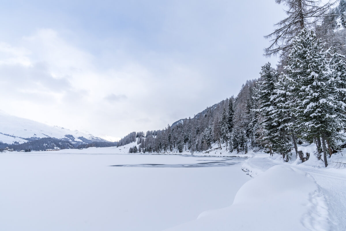 Winterwanderweg Silvaplana-Sils