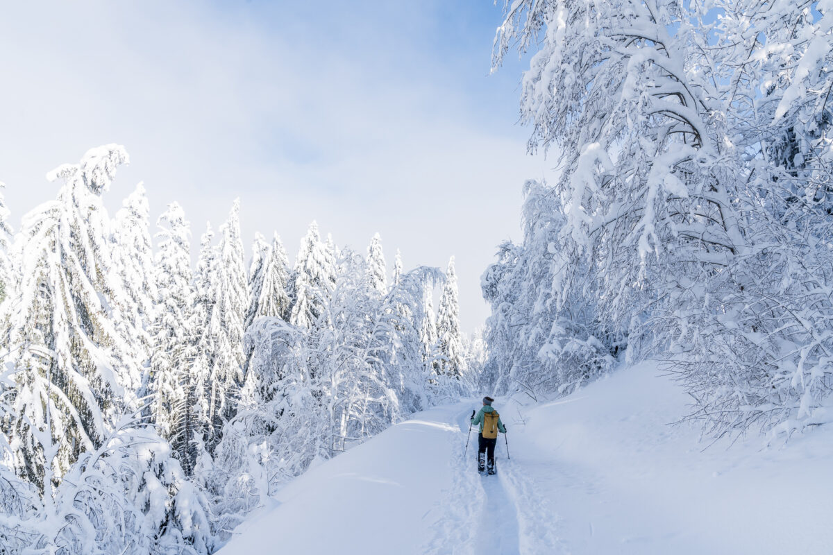 Herrenboden-Biberegg Schneeschuhtrail