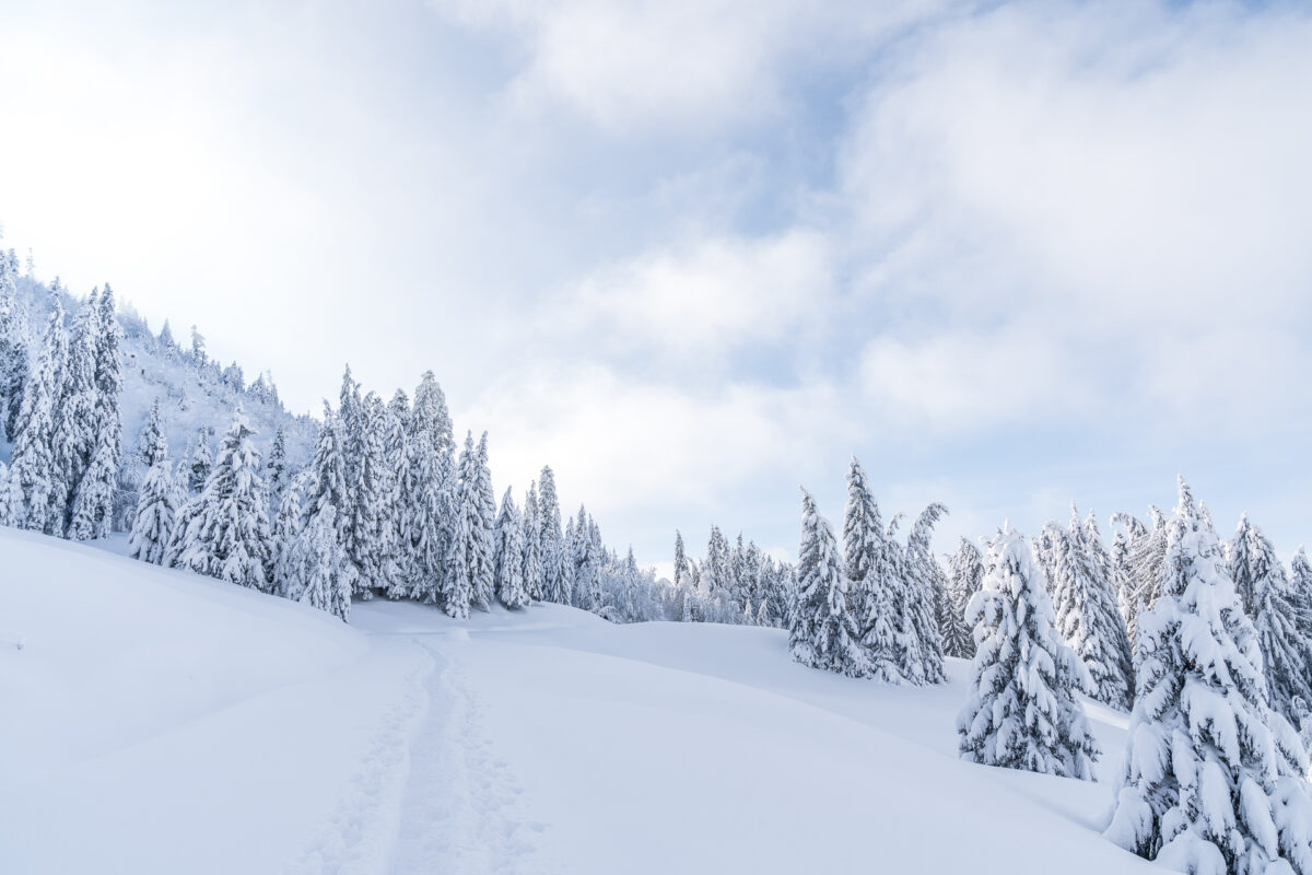 Winterlandschaft Biberegg