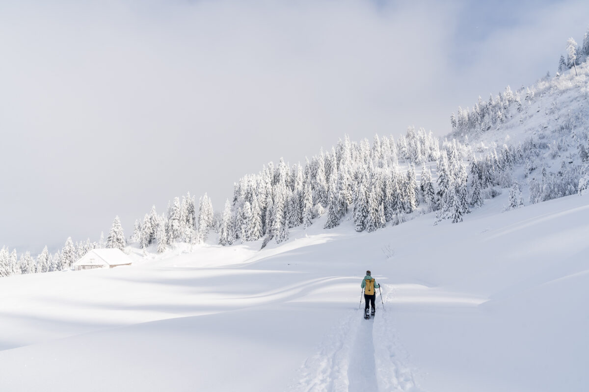 Schneeschuhwandern Rothenturm