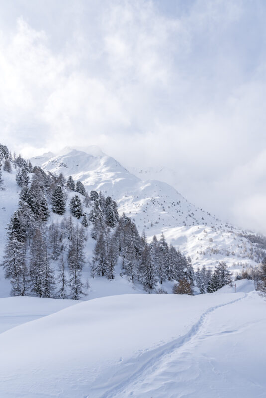 Fex Sils Winterlandschaft