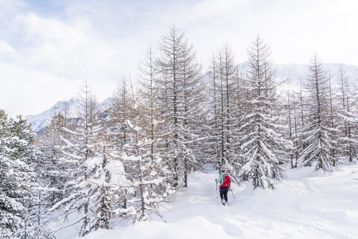 Schneeschuhtrail Fex