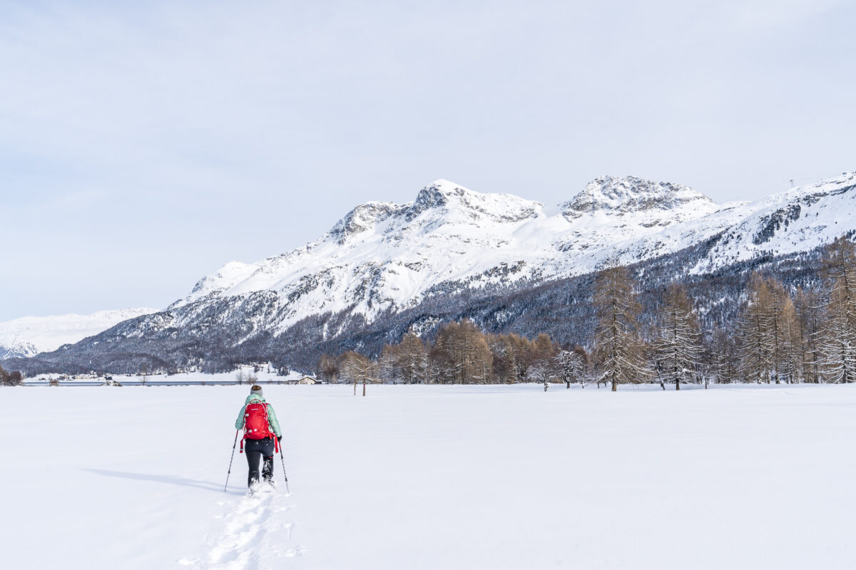 Schneeschuhtrail Sils Maria