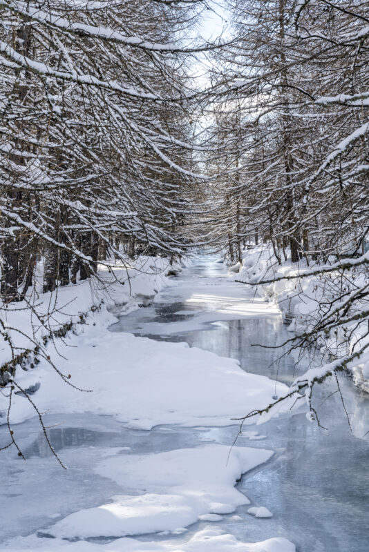 Winter im Engadin Eis