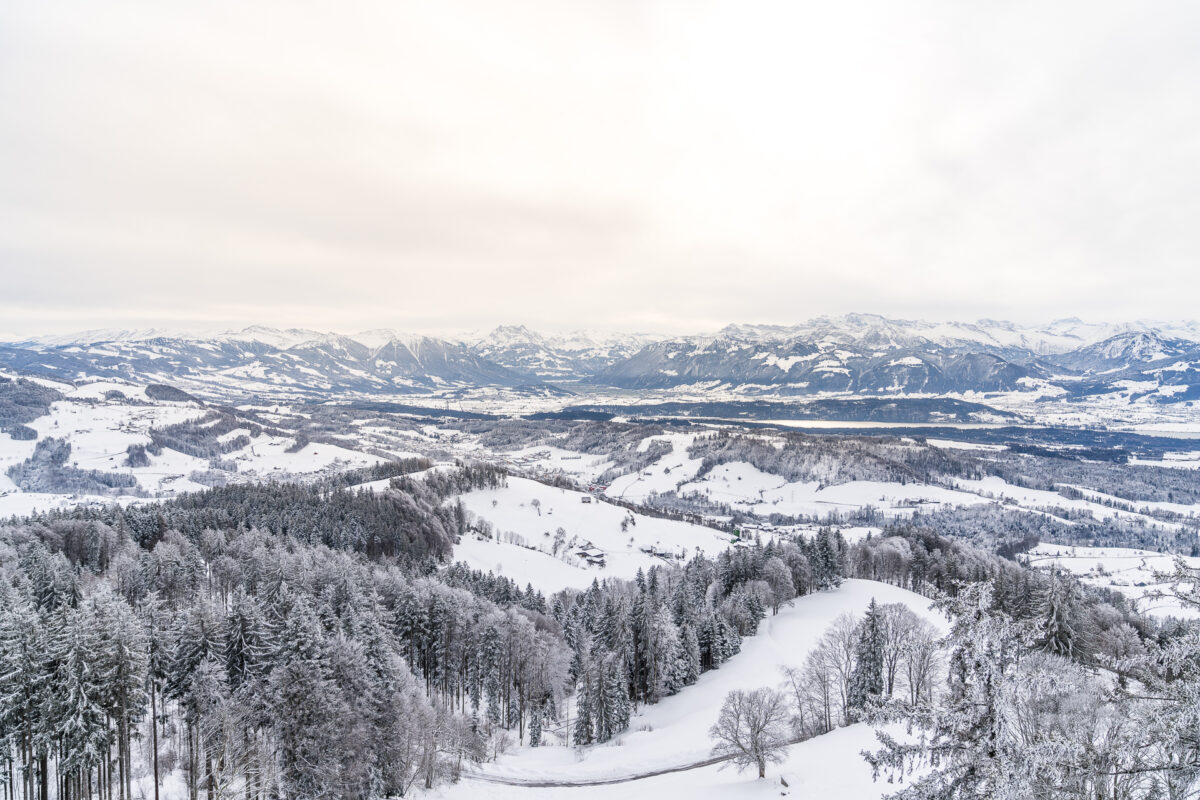 Aussichtsturm Bachtel im Winter