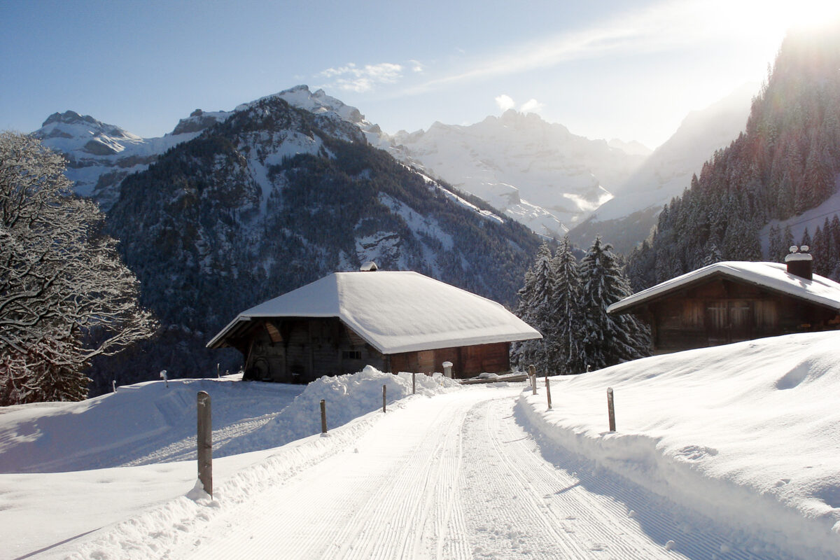 Schlittelweg Kiental