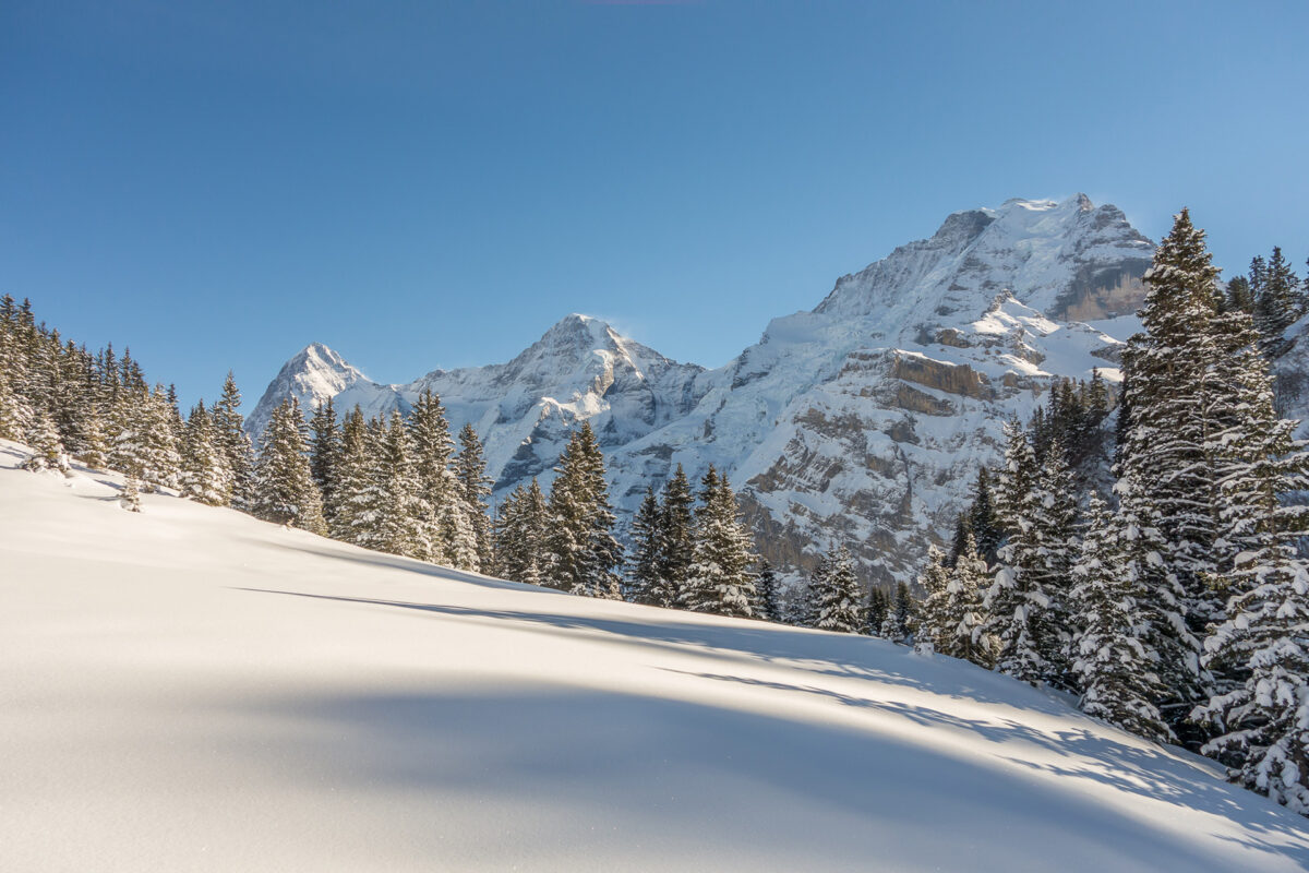 Winter in Mürren