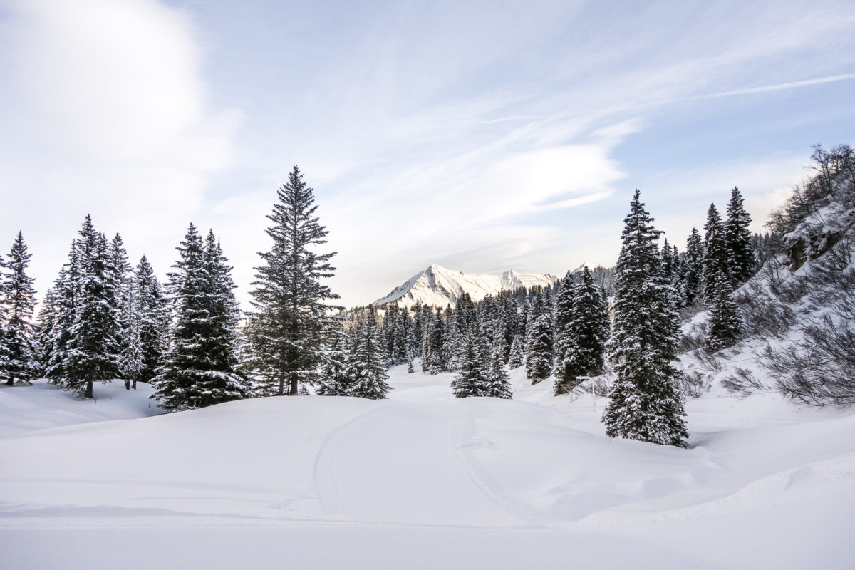 Winterausflugsziel Villars