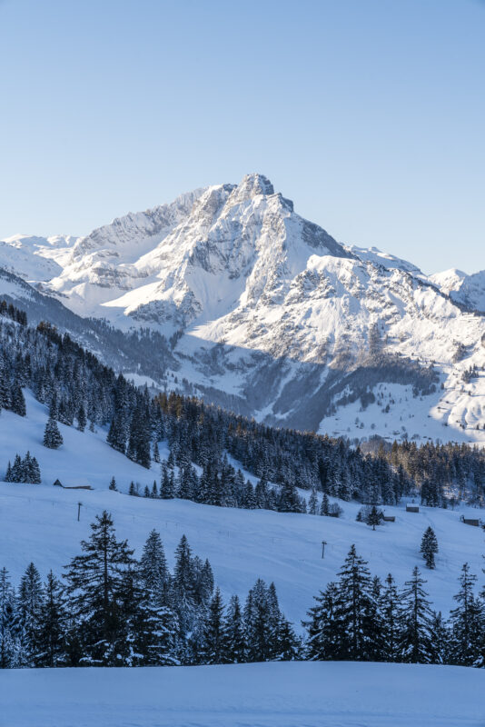 Arvenbüel Panorama