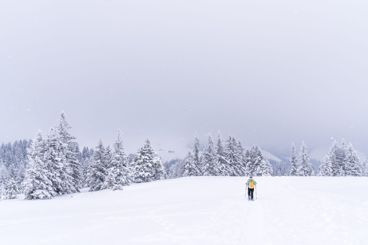 Kronberg Trail Schneeschuh