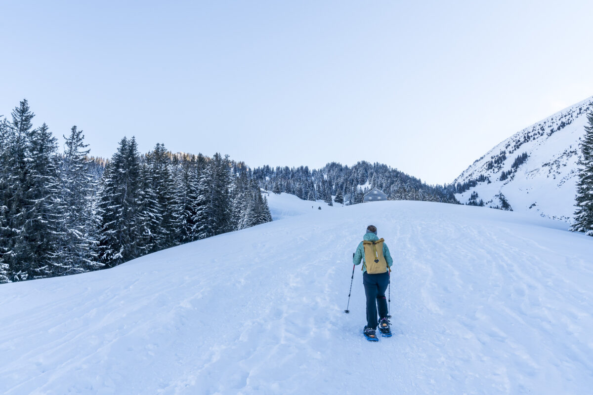Looch Schneeschuhtour Arvenbüel