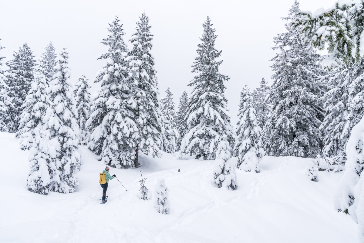 Appenzell Schneeschuhwandern