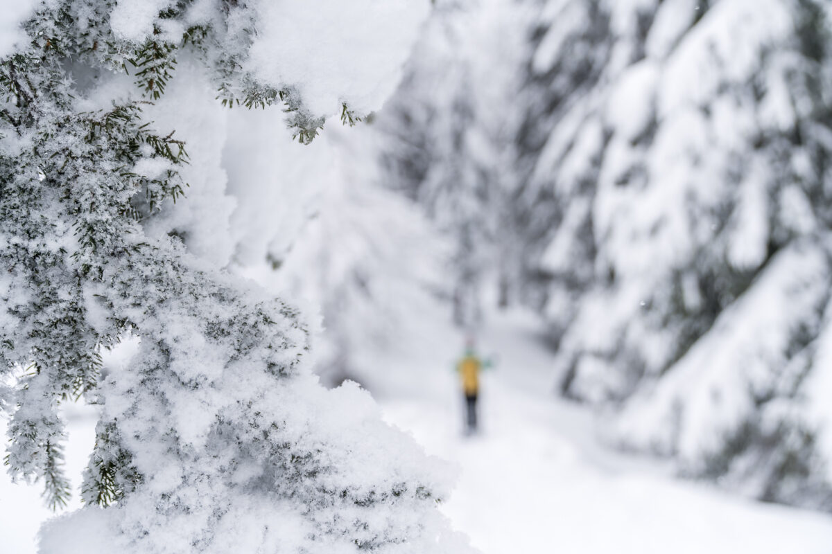 Appenzell Schneeschuh