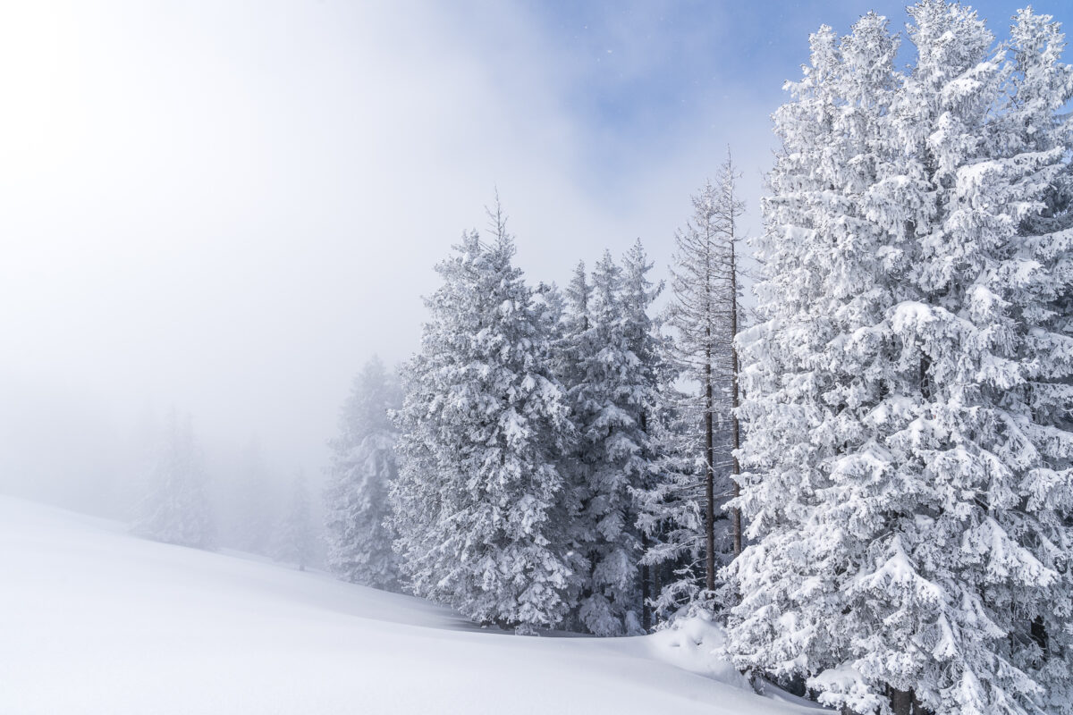 Kronberg Winterlandschaft