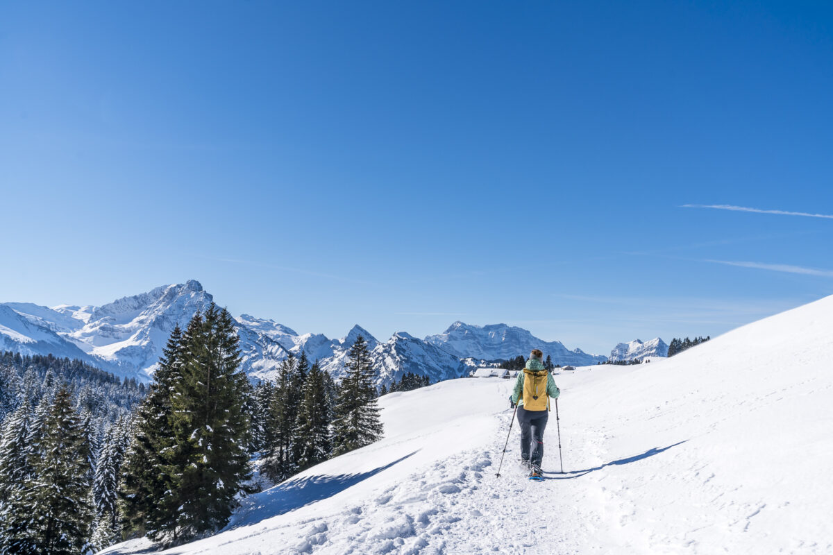 Winterwanderung Arvenbüel