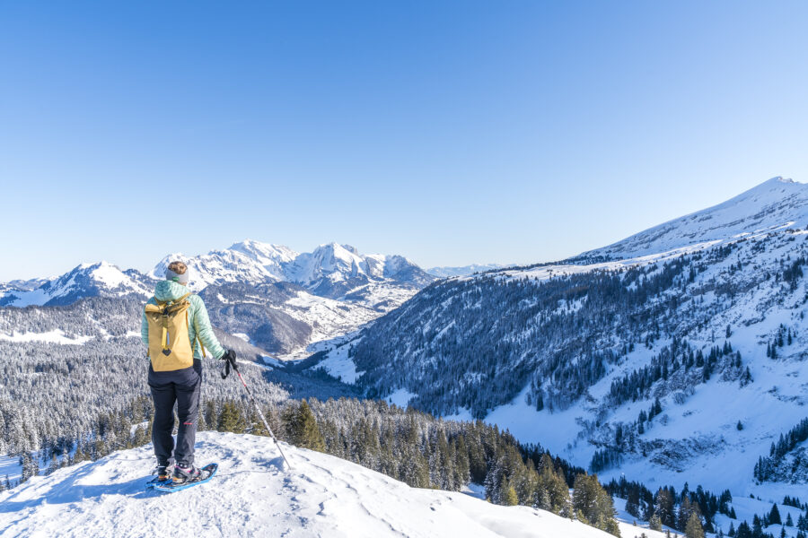 Schneeschuhtour auf den Flügespitz