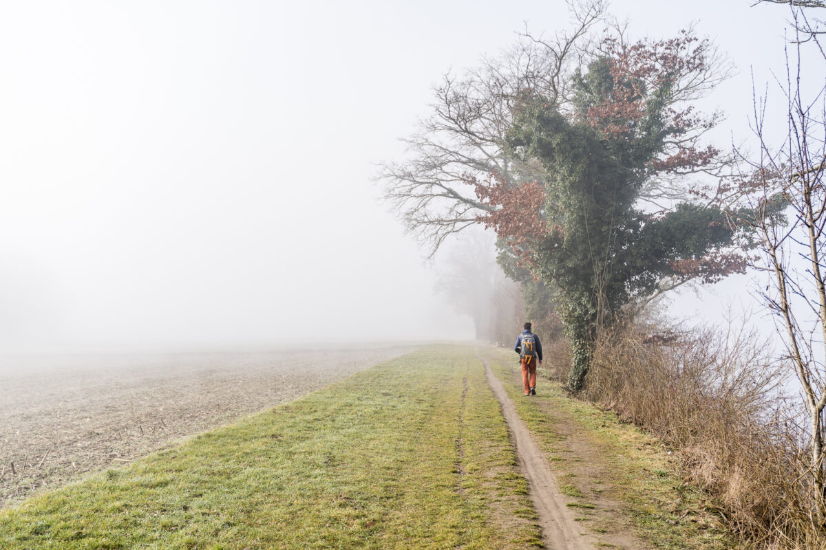 Ellikon am Rhein Nebel